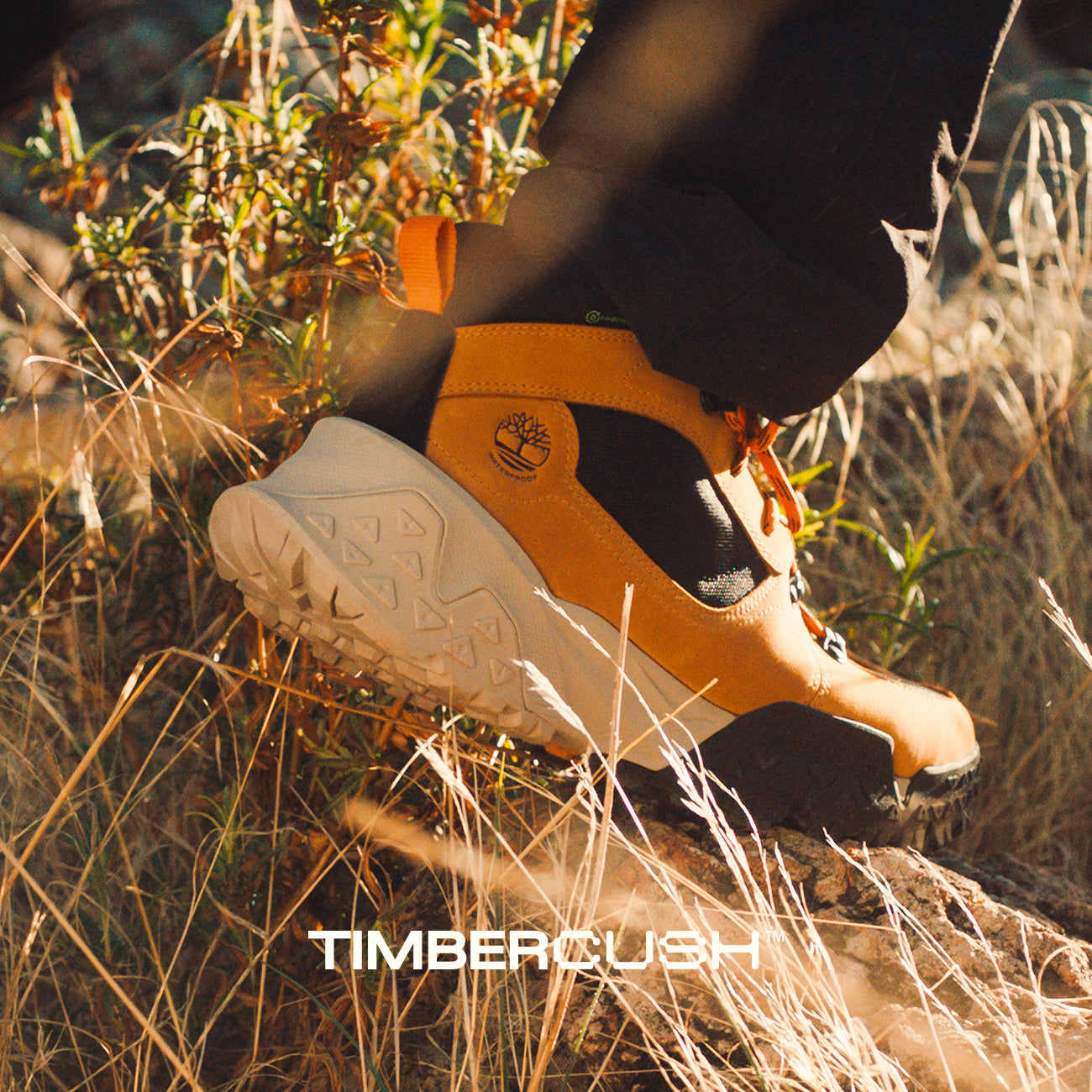 Timberland NZ - COMFORT