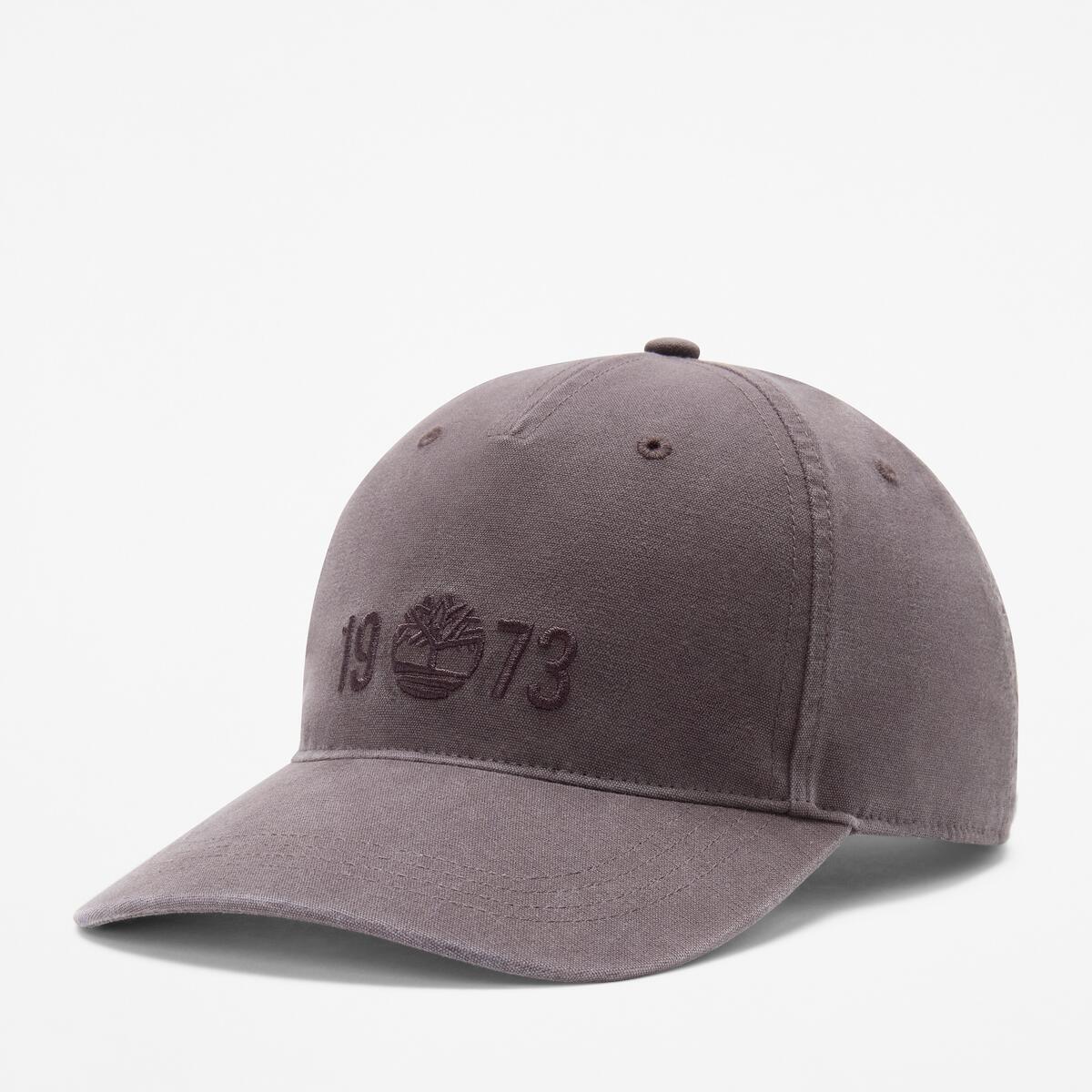 TIMBERLAND 1973 Tree BB Cap Mole - Image 1