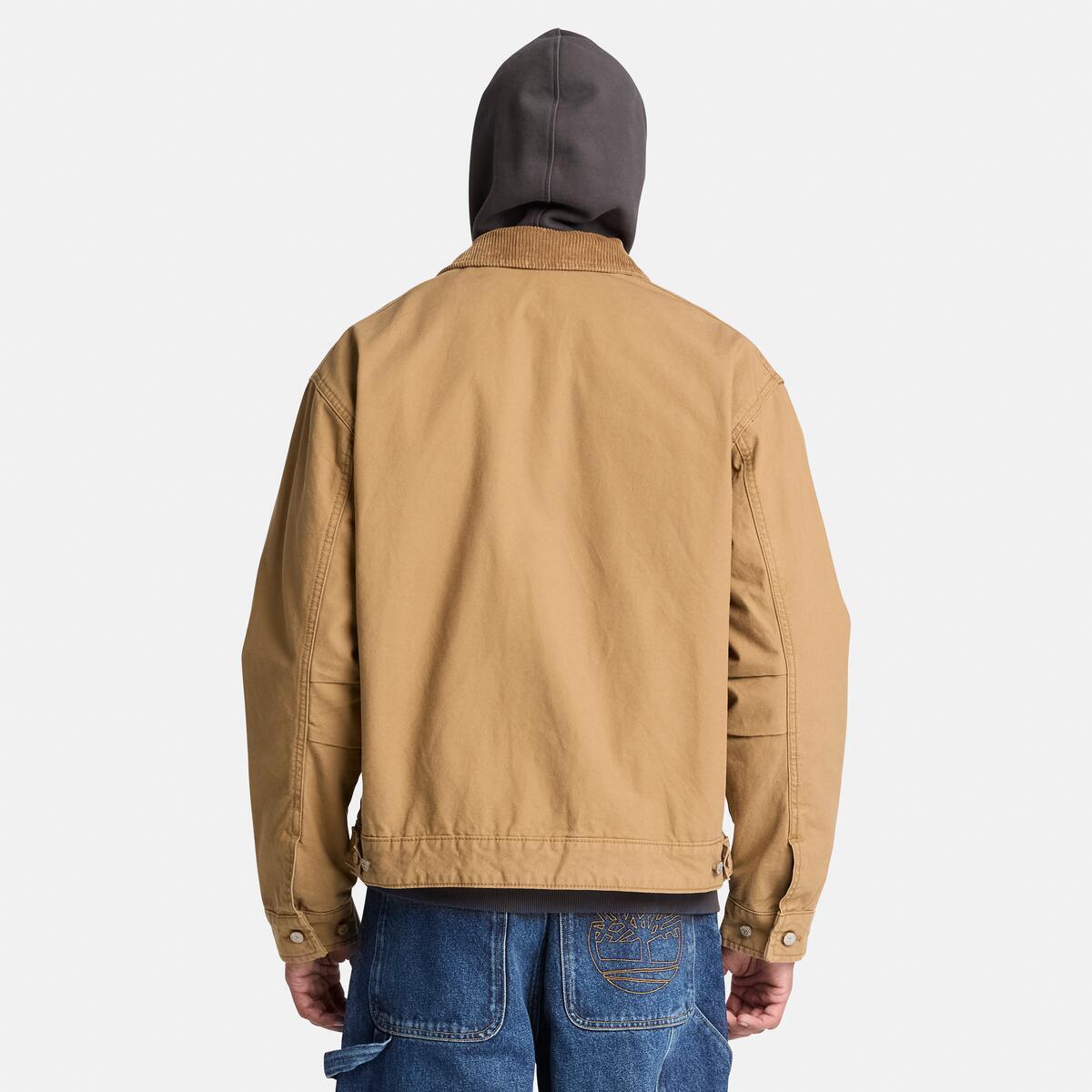 TIMBERLAND Men's Strafford Canvas Jacket Ermine - Image 4