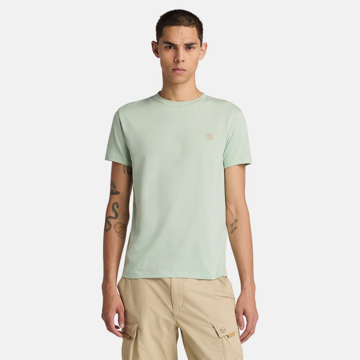 TIMBERLAND Men's Dunstan River Jersey Tee Cameo Green - Image 1