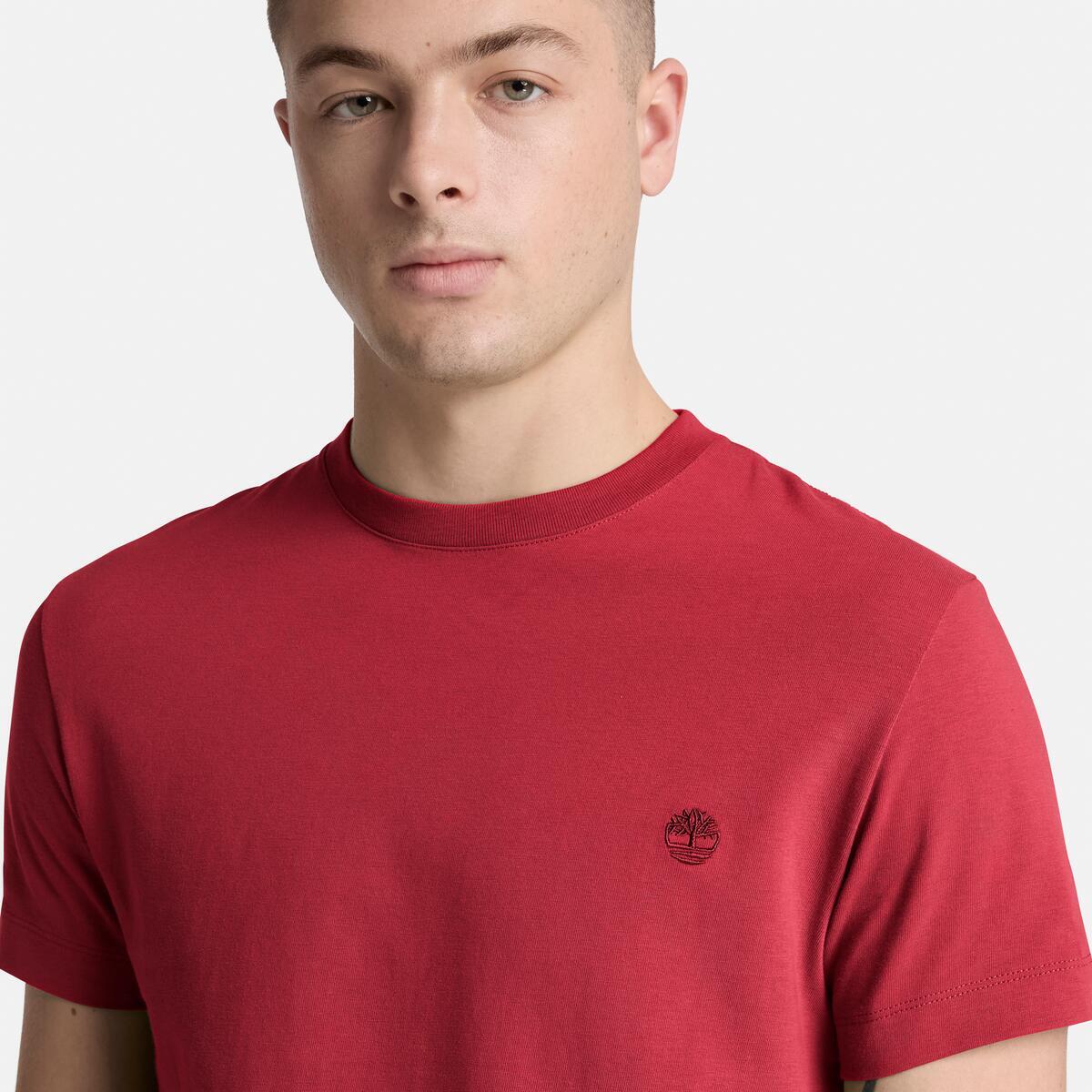 TIMBERLAND Men's Dunstan River Tee Rhythmic Red - Image 4