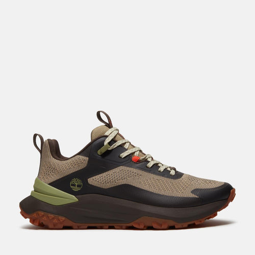 Men's Motion Access Low