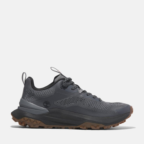 Men's Motion Access Low